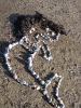 Abtauchen 2012 Fehmarn_6