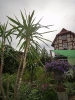 Sommerfest 2012_44